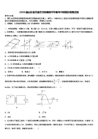 2026届山东省济南市济钢高级中学高考冲刺模拟物理试题含解析