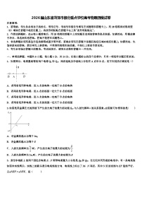 2026届山东省菏泽市部分重点学校高考物理四模试卷含解析