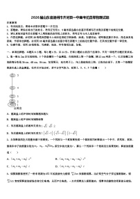 2026届山东省德州市齐河县一中高考仿真卷物理试题含解析