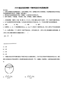 2026届山东省东明县一中高考适应性考试物理试卷含解析