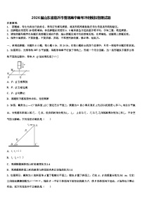 2026届山东省临沂市普通高中高考冲刺模拟物理试题含解析