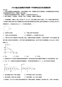 2026届山东省聊城市莘县第一中学高考适应性考试物理试卷含解析