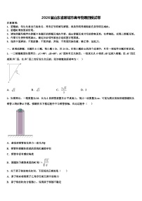 2026届山东省聊城市高考物理四模试卷含解析