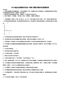 2026届山东省聊城市东阿一中高三第四次模拟考试物理试卷含解析