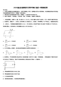 2026届山东省聊城市文苑中学高三最后一卷物理试卷含解析