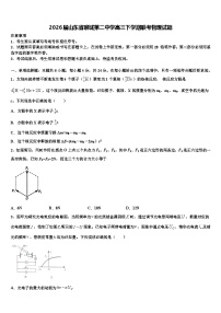 2026届山东省聊城第二中学高三下学期联考物理试题含解析