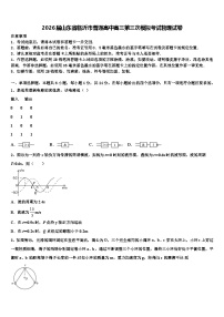 2026届山东省临沂市普通高中高三第三次模拟考试物理试卷含解析