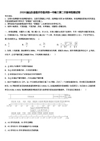 2026届山东省临沂市临沭县一中高三第二次联考物理试卷含解析
