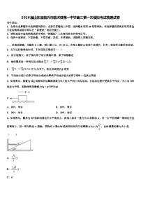2026届山东省临沂市临沭县第一中学高三第一次模拟考试物理试卷含解析