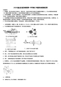 2026届山东省东明县第一中学高三考前热身物理试卷含解析