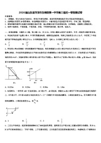 2026届山东省菏泽市东明县第一中学高三最后一卷物理试卷含解析