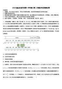2026届山东省菏泽第一中学高三第二次模拟考试物理试卷含解析2