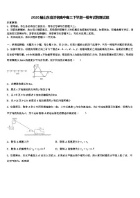 2026届山东省济钢高中高三下学期一模考试物理试题含解析