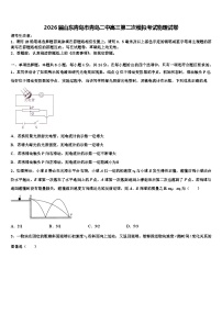 2026届山东青岛市青岛二中高三第二次模拟考试物理试卷含解析