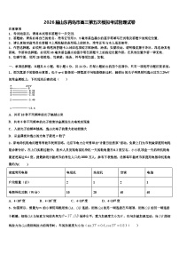 2026届山东青岛市高三第五次模拟考试物理试卷含解析