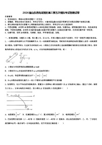 2026届山东青岛城阳区高三第五次模拟考试物理试卷含解析
