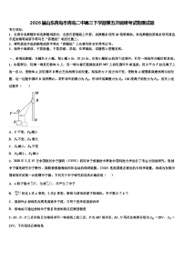 2026届山东青岛市青岛二中高三下学期第五次调研考试物理试题含解析