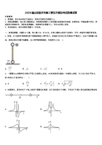 2026届山东临沂市高三第五次模拟考试物理试卷含解析