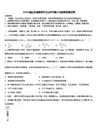 2026届山东省昌邑市文山中学高三压轴卷物理试卷含解析