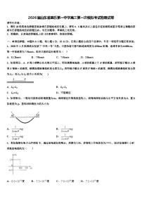 2026届山东省昌乐第一中学高三第一次模拟考试物理试卷含解析