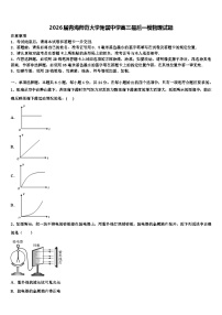 2026届青海师范大学附属中学高三最后一模物理试题含解析