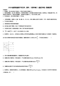 2026届青海省西宁市五中、四中、十四中高三（最后冲刺）物理试卷含解析