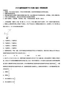 2026届青海省西宁市三校高三最后一卷物理试卷含解析
