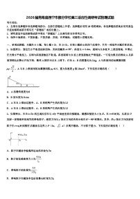 2026届青海省西宁市部分学校高三适应性调研考试物理试题含解析