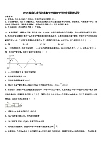 2026届山东省青岛市高考全国统考预测密卷物理试卷含解析