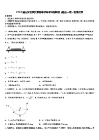 2026届山东省泰安第四中学高考冲刺押题（最后一卷）物理试卷含解析
