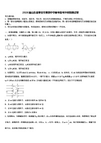 2026届山东省泰安市第四中学高考临考冲刺物理试卷含解析