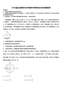 2026届山东省泰安市东平高级中学高考适应性考试物理试卷含解析