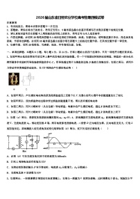 2026届山东省日照农业学校高考物理四模试卷含解析