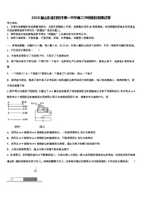 2026届山东省日照市第一中学高三冲刺模拟物理试卷含解析