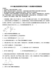 2026届山东省日照农业学校高三3月份模拟考试物理试题含解析