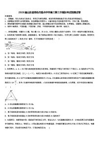 2026届山东省青岛市重点中学高三第三次模拟考试物理试卷含解析