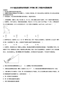 2026届山东省青岛市青岛第二中学高三第二次模拟考试物理试卷含解析
