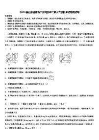 2026届山东省青岛市开发区高三第六次模拟考试物理试卷含解析