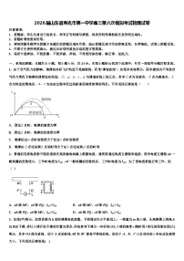 2026届山东省寿光市第一中学高三第六次模拟考试物理试卷含解析