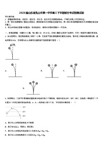 2026届山东省乳山市第一中学高三下学期联合考试物理试题含解析