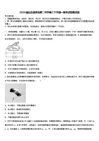 2026届山东省青岛第二中学高三下学期一模考试物理试题含解析