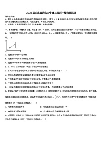 2026届山东省青岛三中高三最后一模物理试题含解析