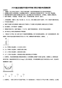 2026届山东省临沂市重点中学高三第五次模拟考试物理试卷含解析