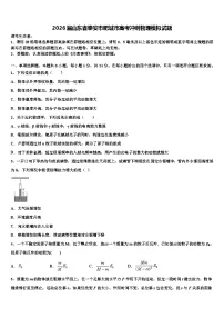2026届山东省泰安市肥城市高考冲刺物理模拟试题含解析