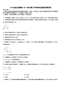 2026届山东省滕州一中、枣庄市第三中学高考仿真模拟物理试卷含解析