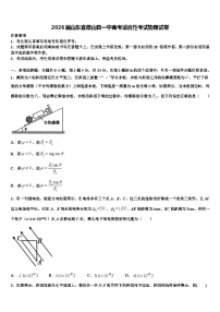 2026届山东省微山县一中高考适应性考试物理试卷含解析