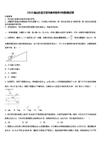 2026届山东省文登市高考临考冲刺物理试卷含解析