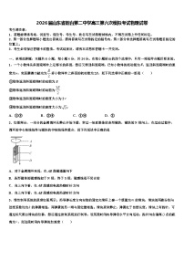 2026届山东省烟台第二中学高三第六次模拟考试物理试卷含解析