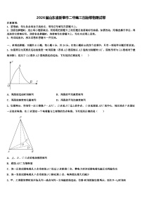 2026届山东省新泰市二中高三压轴卷物理试卷含解析