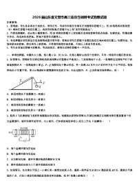 2026届山东省文登市高三适应性调研考试物理试题含解析